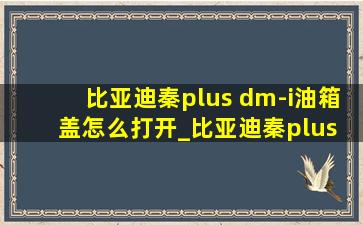 比亚迪秦plus dm-i油箱盖怎么打开_比亚迪秦plus dm-i油箱盖怎么锁